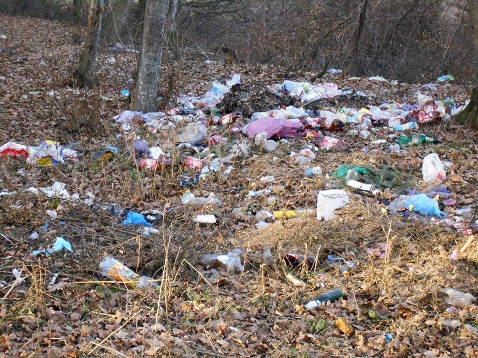 Szemét a debreceni Nagyerdőn