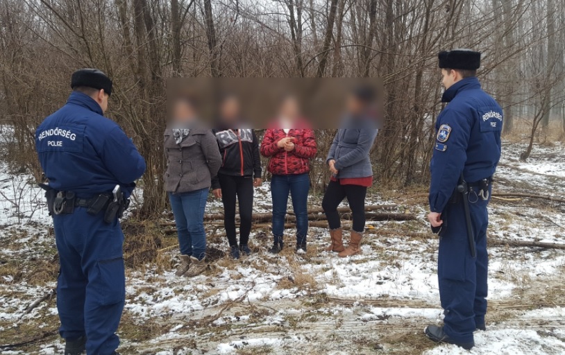 Négy nőt értek falopáson Hajdúhadház mellett