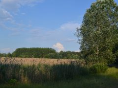 Kiszáradt a Fancsika 2022