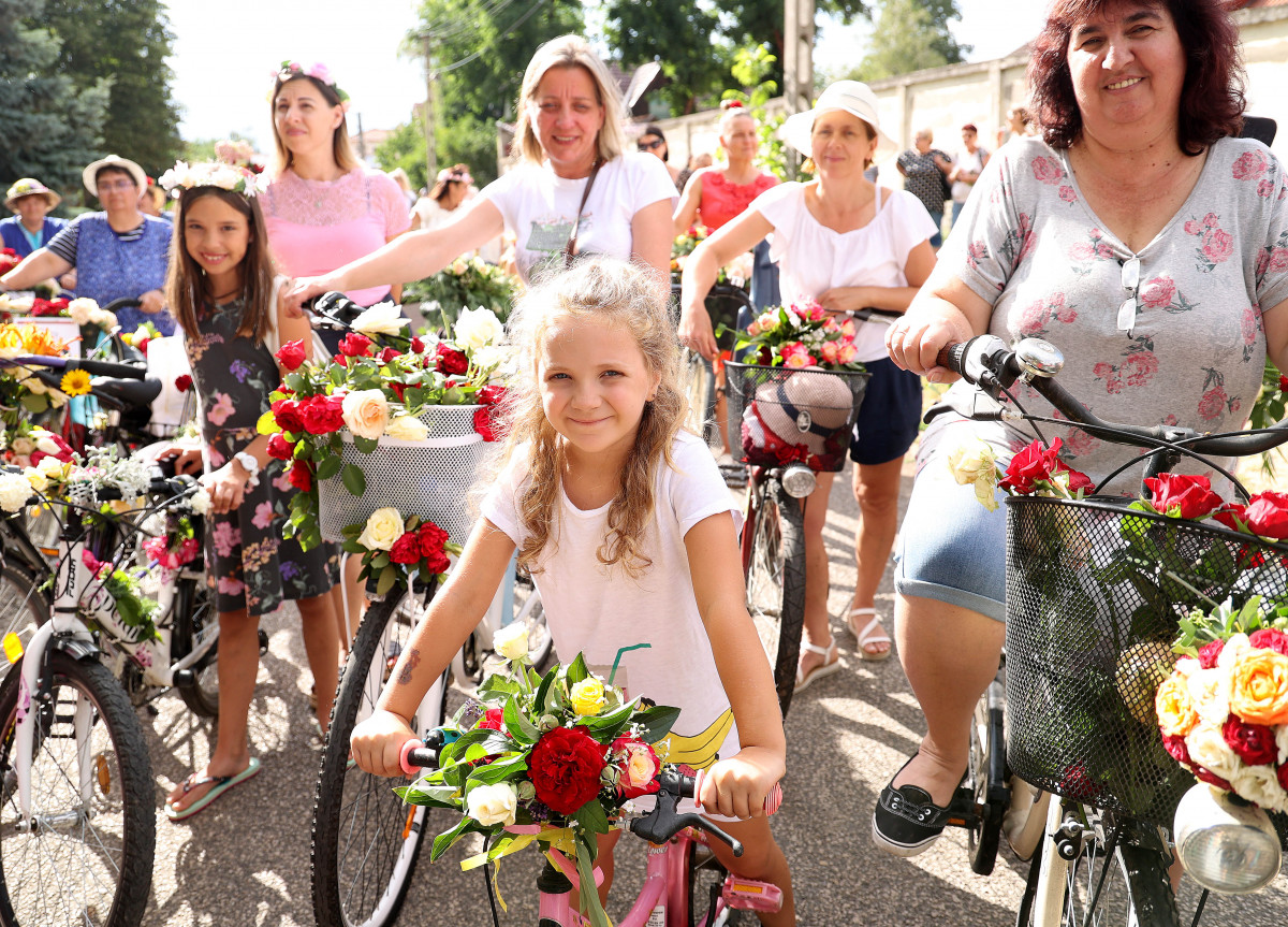 Rózsaünnep Szőregen