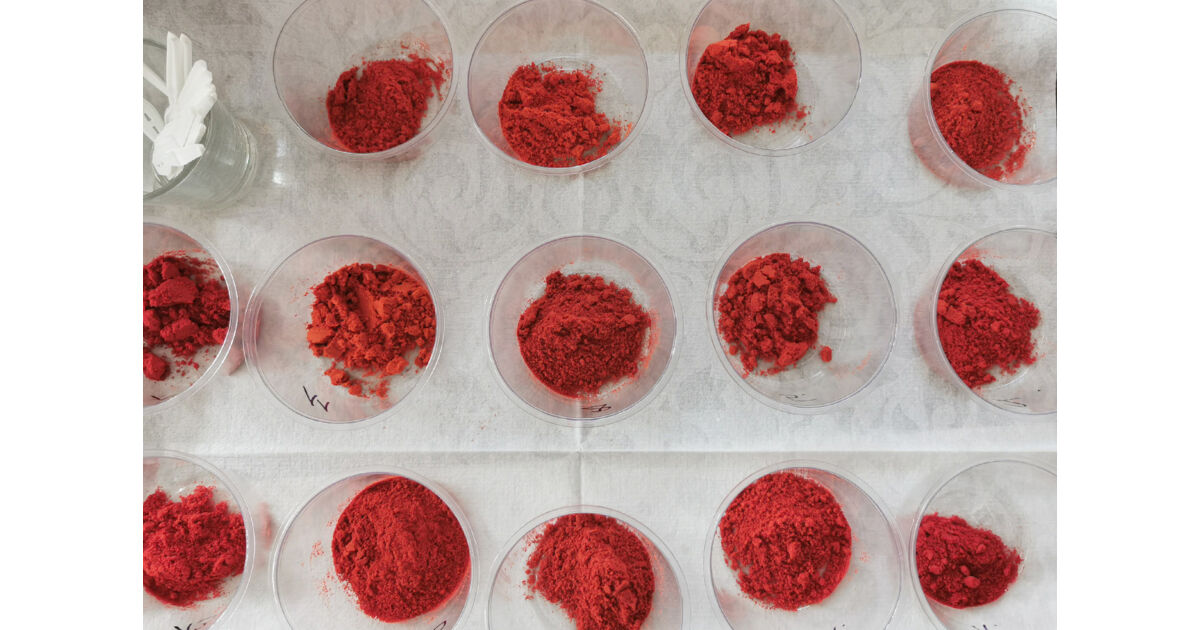 Rubin paprika Szeged