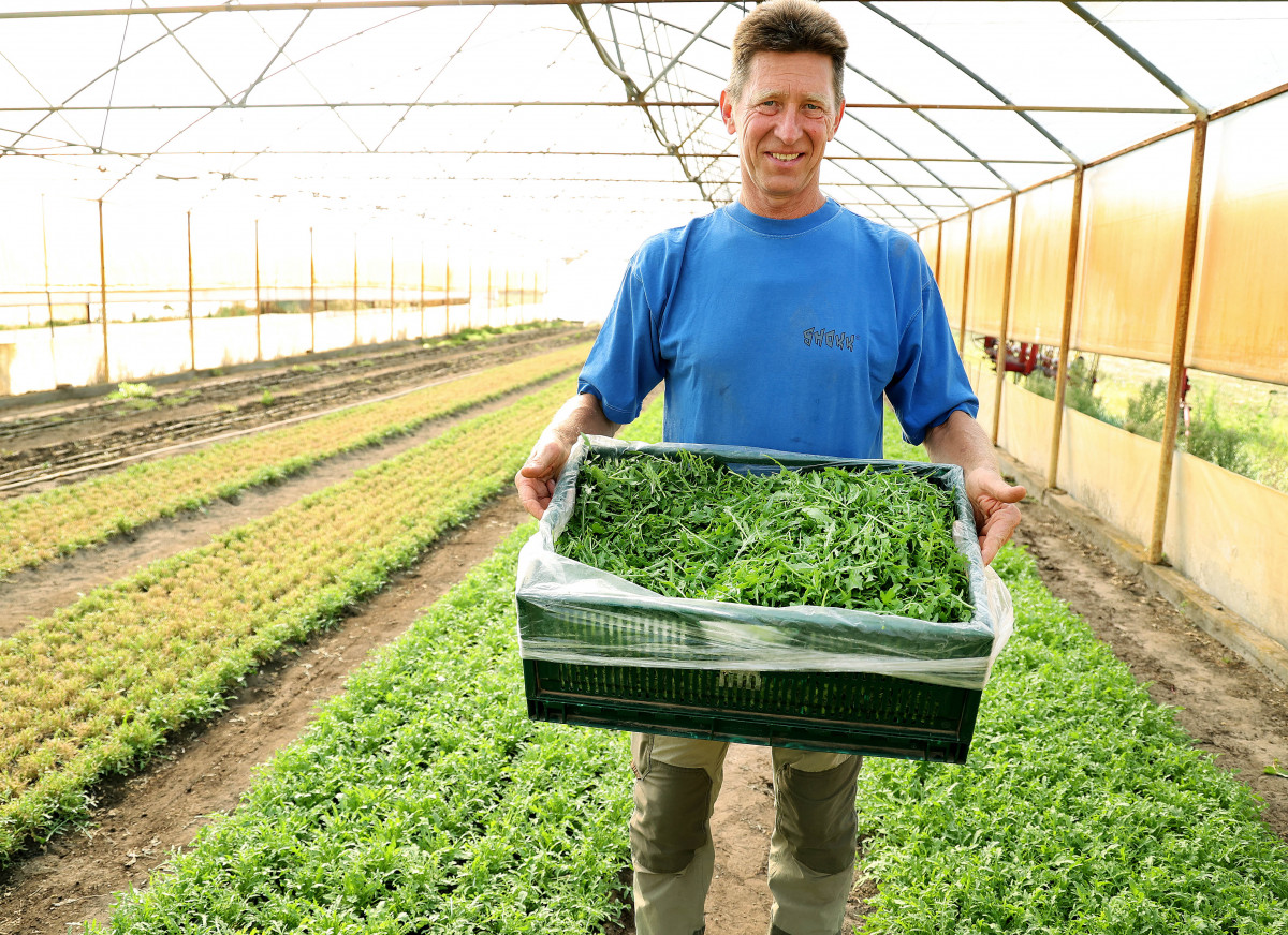 Bük József bordányi gazdálkodó