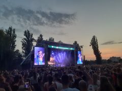 SZIN csütörtök Szeged