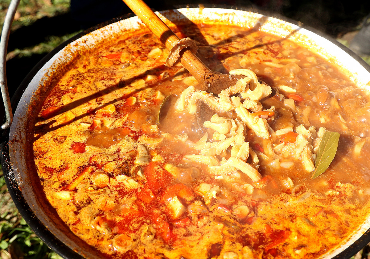 Pacalpárbaj Tápén