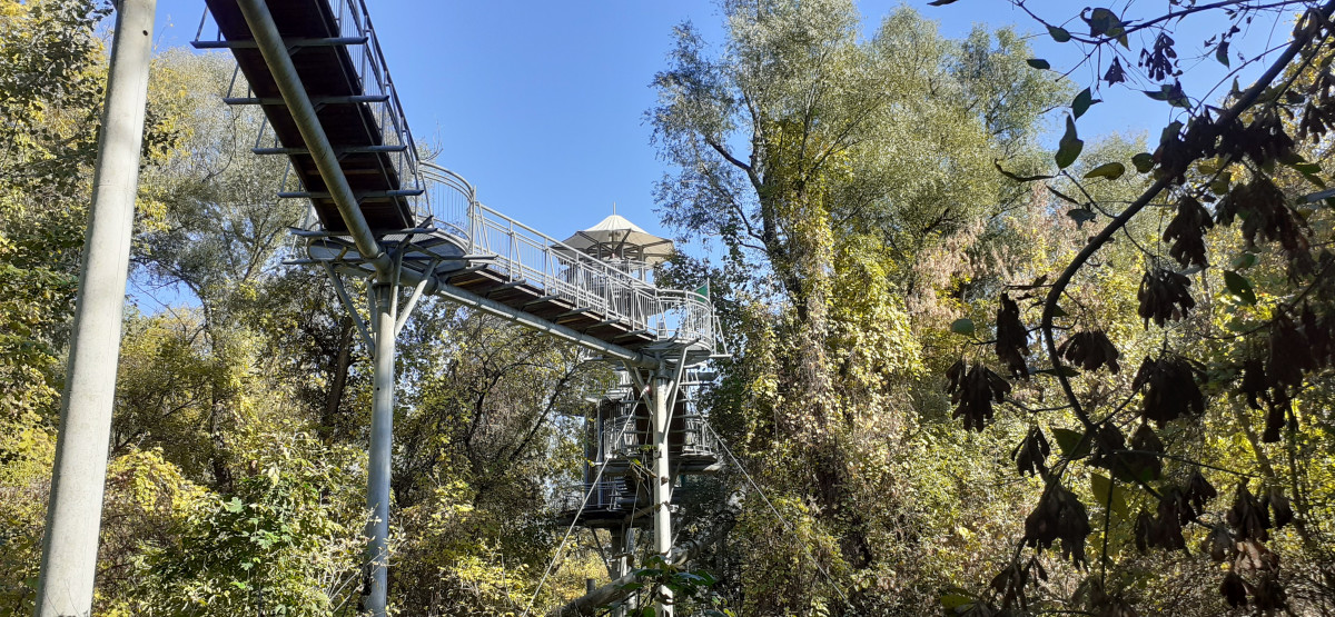 Lombkorona sétény Makó