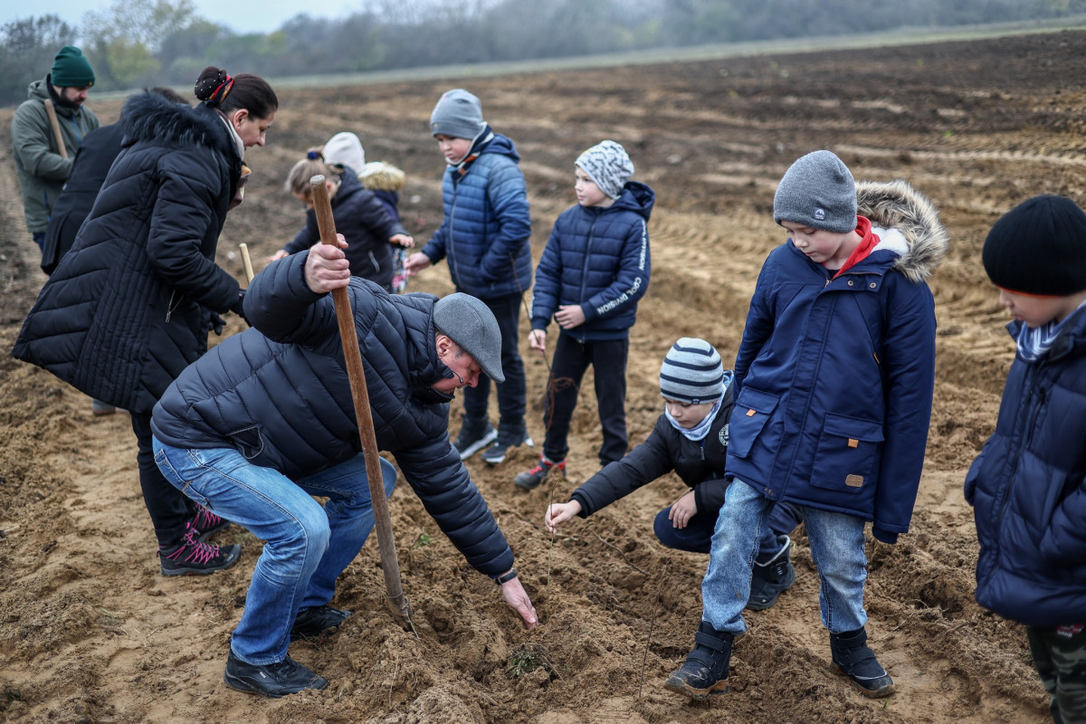 Pósán László gyerekekkel ültetett fát