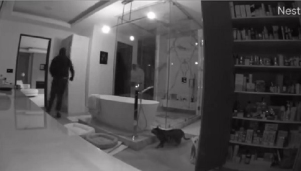 Vajna Timi betörők cica