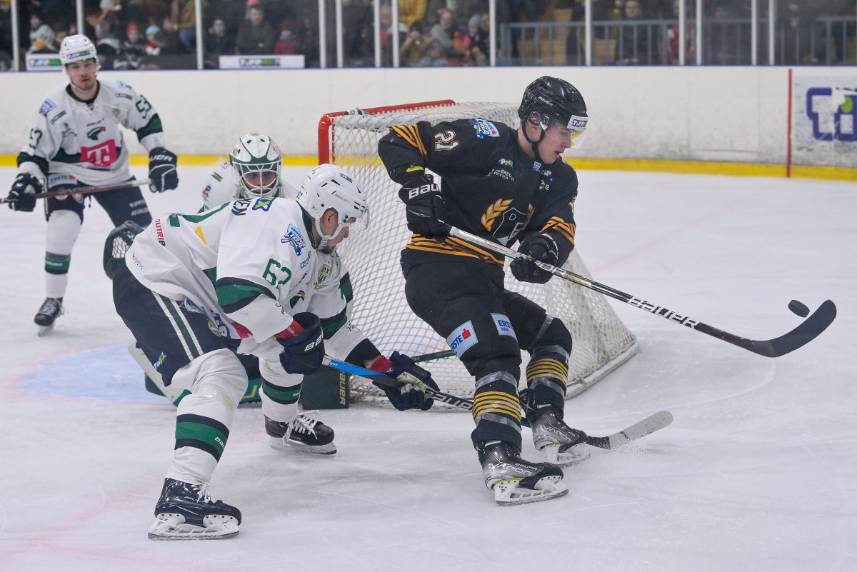 Jégkorong Erste Liga - DEAC-FTC-Telekom