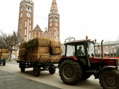 Dóm téri szalmalabirintus
