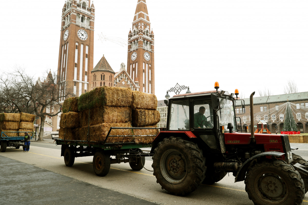 Dóm téri szalmalabirintus