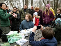 Szeged, Madártani Egyesület, madár, gyűrűzés, természet, liget, cinke, madárgyűrűzés