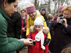 Szeged, Madártani Egyesület, madár, gyűrűzés, természet, liget, cinke, madárgyűrűzés