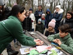 Szeged, Madártani Egyesület, madár, gyűrűzés, természet, liget, cinke, madárgyűrűzés