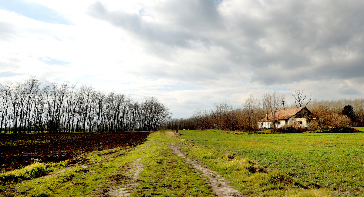 Szatymaz, tanya, kihalt, elnéptelenedett, romos tanya, vidék