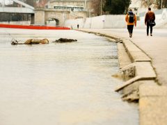 Szeged, Huszár Mátyás rakpart, rakpart, lezárás, Tisza, vízállás, árad, áradás