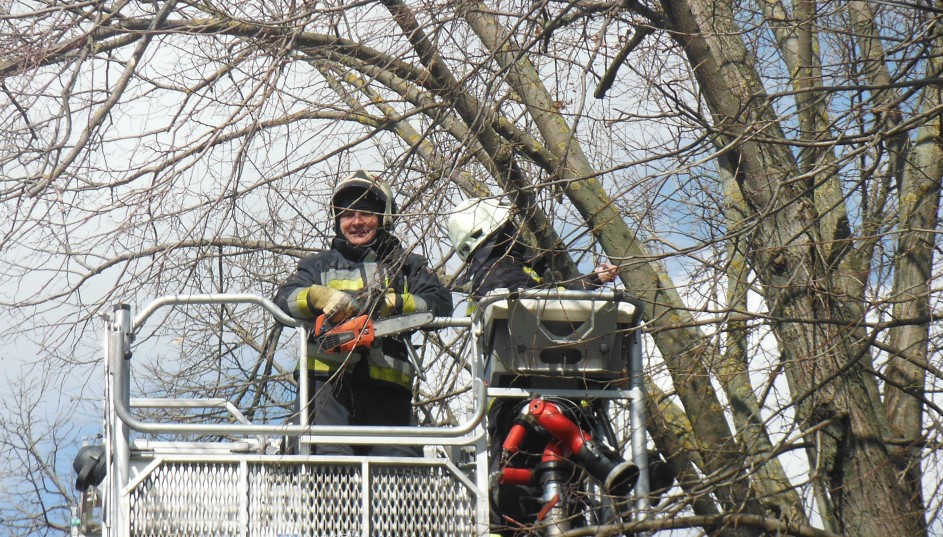 Kidőlt fához riasztották a tűzoltókat Balmazújvároson
