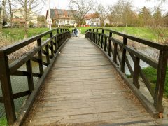 Szeged, tavasz, Holt-Maros, kirándulás, természet