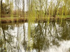 Szeged, tavasz, Holt-Maros, kirándulás, természet