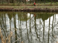 Szeged, tavasz, Holt-Maros, kirándulás, természet