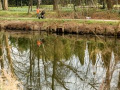 Szeged, tavasz, Holt-Maros, kirándulás, természet