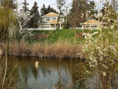 Szeged, tavasz, Holt-Maros, kirándulás, természet