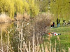 Szeged, tavasz, Holt-Maros, kirándulás, természet