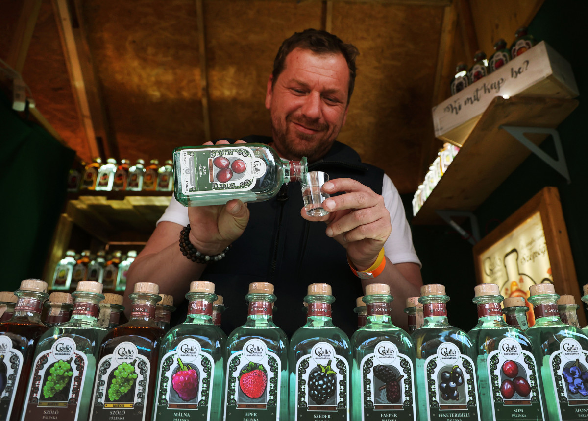 Szeged, Toros Pálinkafesztivál, rendezvény, Dóm tér , pálinka