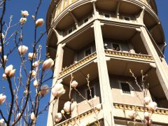 Szeged, Szent István tér, víztorony, kiállítás, látkép, város