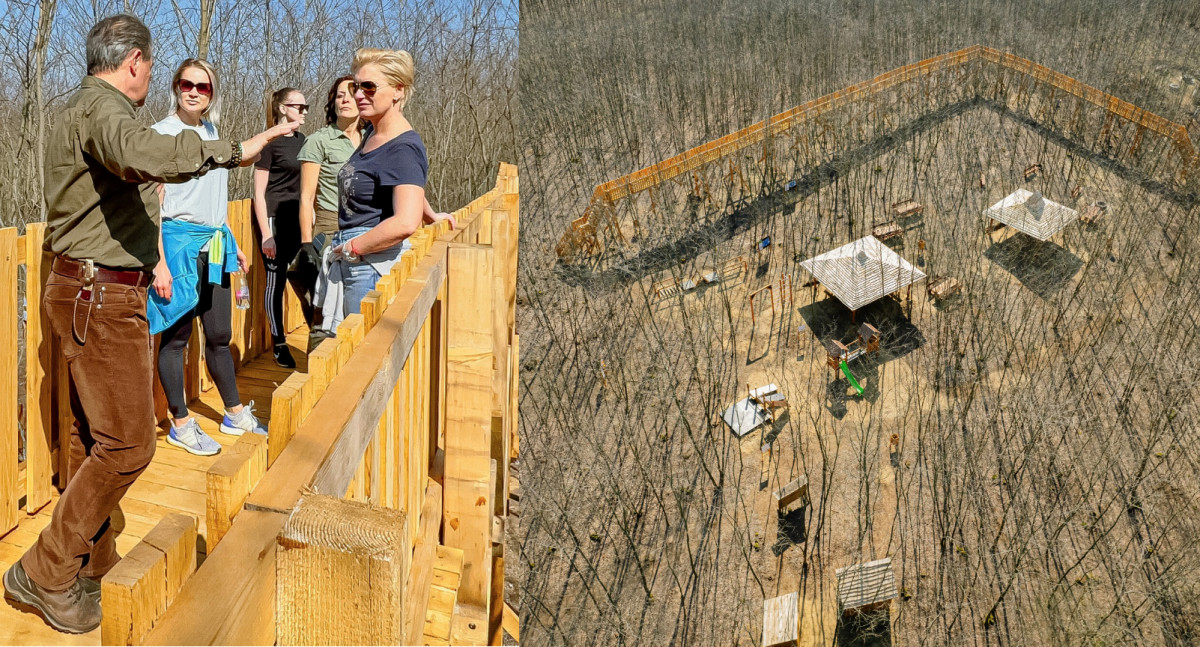 Lombkorona sétány a Dinnyési kilátónál Hajdú-Biharban