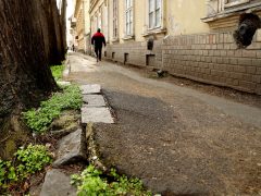 Szeged, Gogol utca, felújítás, parkolás, belváros