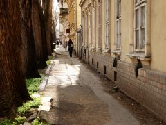 Szeged, Gogol utca, felújítás, parkolás, belváros