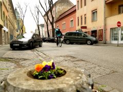 Szeged, Gogol utca, felújítás, parkolás, belváros