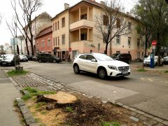 Szeged, Gogol utca, felújítás, parkolás, belváros