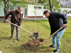 faültetés ÉAK Nonprofit kft