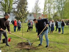 faültetés ÉAK Nonprofit kft