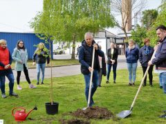 faültetés ÉAK Nonprofit kft