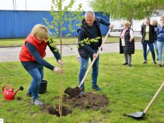 faültetés ÉAK Nonprofit kft