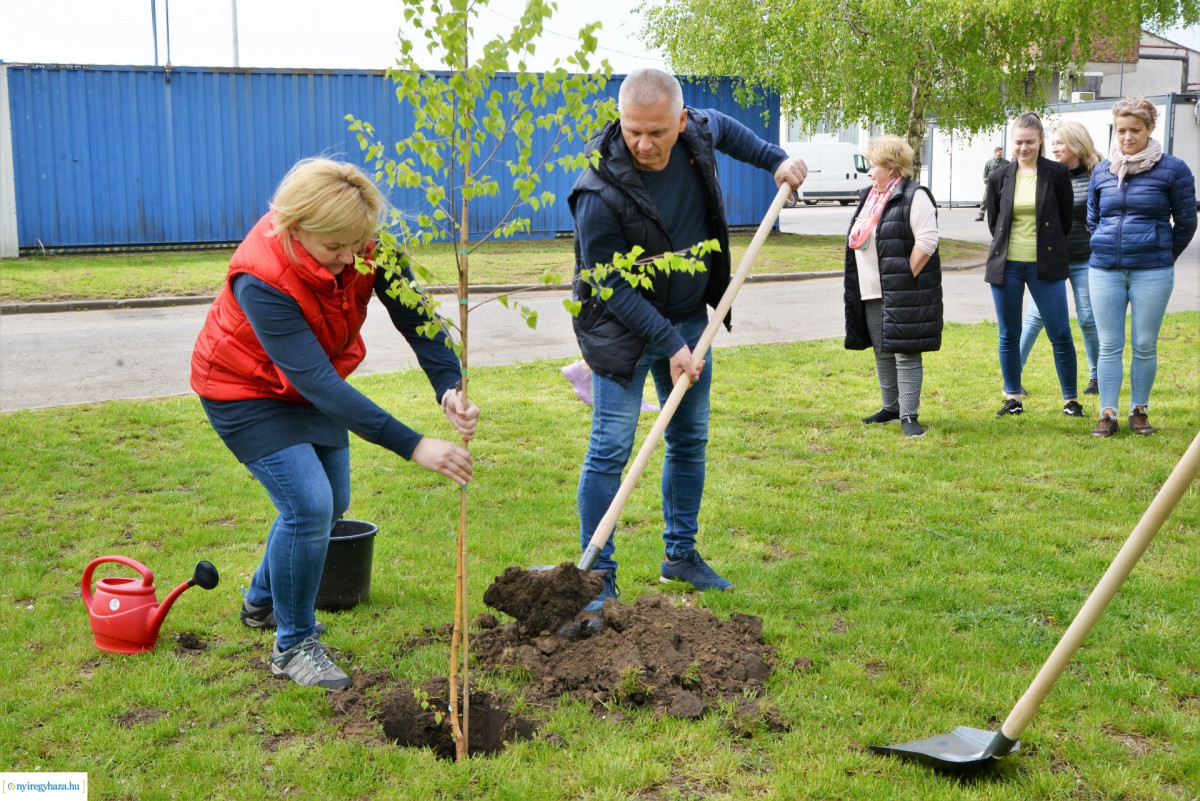faültetés ÉAK Nonprofit kft