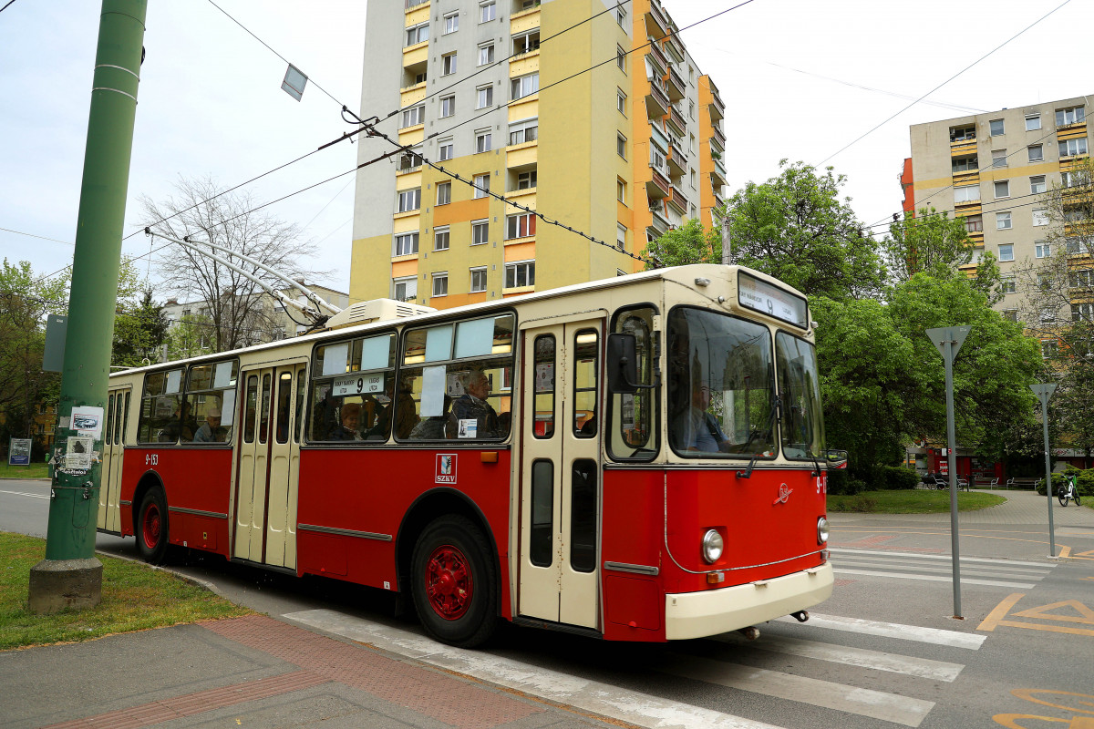 Szeged, 44 éves, troli, trolibusz, nosztalgia, közlekedés, tömegközlekedés, utazás