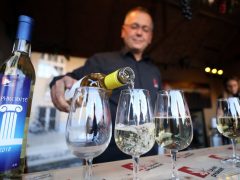 Borfesztivál Szeged