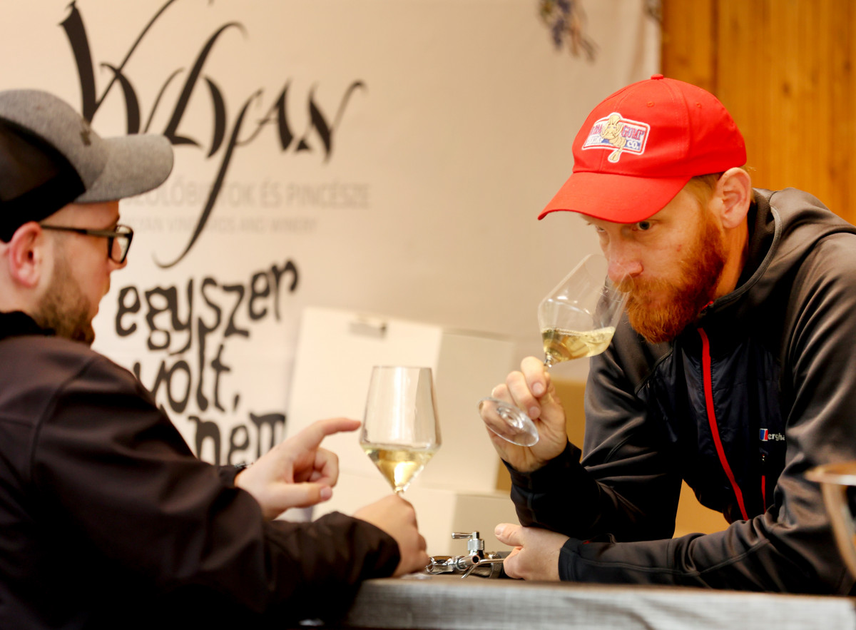 Szeged, Borfesztivál, bor, borász, Széchenyi tér, szórakozás, turizmus