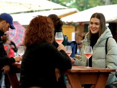 Szeged, Borfesztivál, borverseny, bor, Széchenyi tér