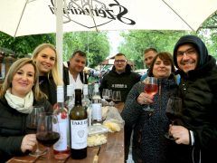 Szeged, Borfesztivál, borverseny, bor, Széchenyi tér