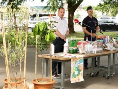 röszkei határátkelő, határ, ellenőrzés, vám, kiutazás, beutazás, forgalom