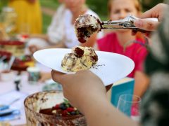 Szeged, Kovács Annabella, könyvklub, Kolostorkert, könyv, olvasás, piknik