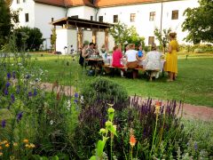 Szeged, Kovács Annabella, könyvklub, Kolostorkert, könyv, olvasás, piknik