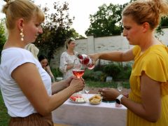 Szeged, Kovács Annabella, könyvklub, Kolostorkert, könyv, olvasás, piknik