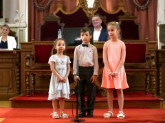 Szeged, közgyűlés, városháza, önkormányzat