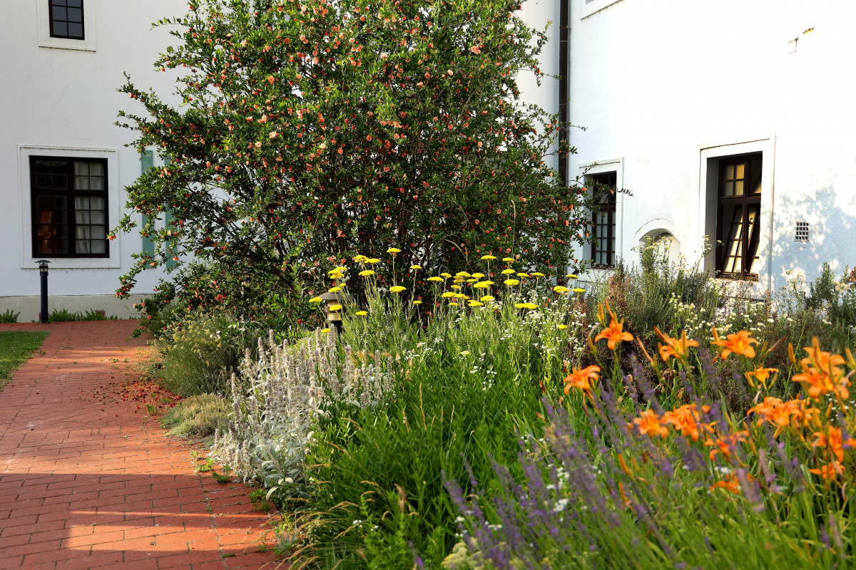 Szeged, Alsóváros, Kolostorkert, templom, ferences, vallás, egyház, turizmus, kert