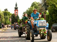 Szeged, Szőregi rózsaünnep, rózsa, felvonulás, virág, turizmus